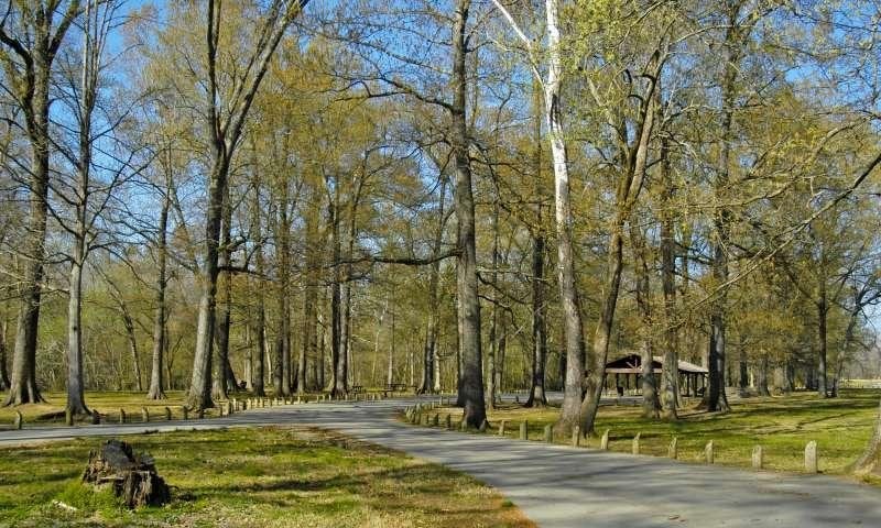 Jenkins' Ferry Battleground State Park