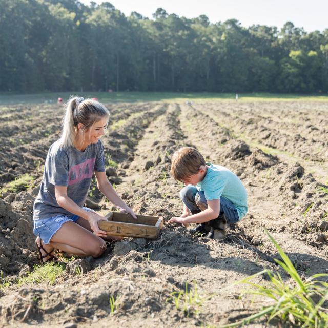 Crater of Diamonds State Park