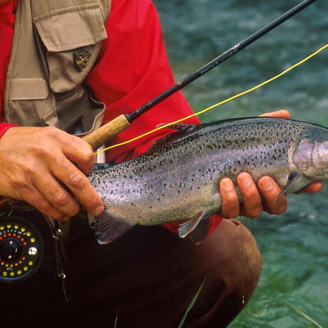 Trout and fly fishing at Bull Shoals-White River State Park